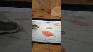 обзор на планшет Redmi Pad SE 8.7