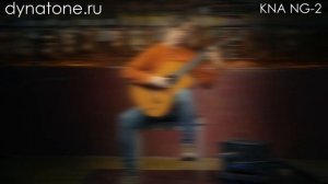 Обзор звукоснимателя KNA NG-2