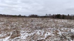 Открытие сезона копа 2025 . Коп по старине