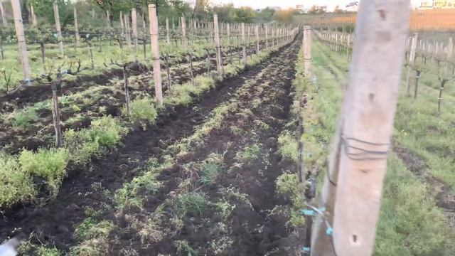 Новый культиватор в работе. смотреть онлайн