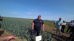 3ч.Уборка лука порея комбайном "АZA LIFT" обед-викторина в