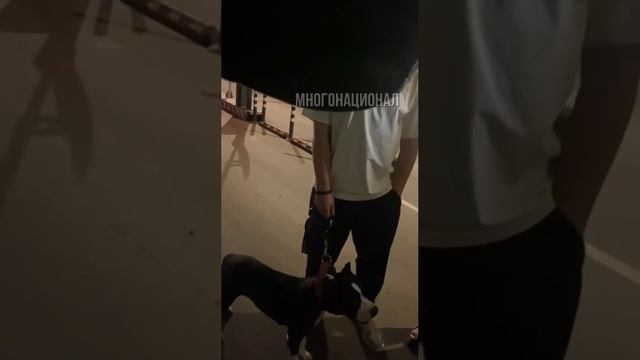 — Ты залез на лавку с ногами где дети сидят и начал плеваться в разные стороны. Это нормально?