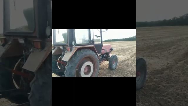 Т-25 дисковий агрегат АГД 1.3 Підготовка ґрунту до посів смотреть онлайн