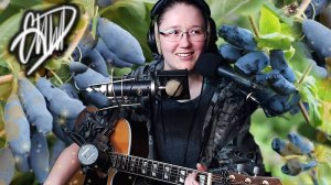 🍓 Собирай урожай 🍓 гитара🎸голос🎤rock🤘