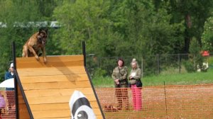 Чемпионат Пермского края по мондиорингу. \