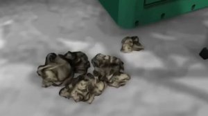 Napo in... Danger Chemicals! Episode 4