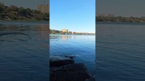 Рыбалка в Таганрогском заливе на бычка #таганрог #fishing