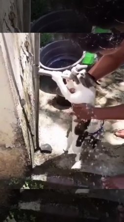 Котик принимает холодный душ,ведь летом очень жарко 💦🤩🐈