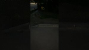 8-3 от РП-8 до ТП-983 208м.