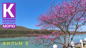 К Черному морю. Наше южное путешествие. Фильм 5 "Абрау-Дюрсо"