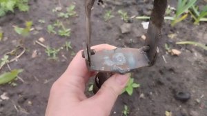 Плоскорез Фокина или пропольник "Стриж"