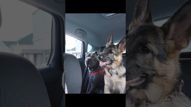 14 июня 2024 г.Моя семья❤️-мой мир🌏моя вселенная 🌌! смотреть онлайн