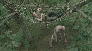 Реалити-шоу на выживание, превращается в ужас, когда за героем начинает гоняться странное существо