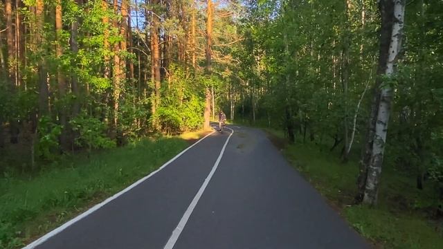 Экопарк Затюменский. 13 06.24.  Прошла гроза.  Цветет шипов смотреть онлайн
