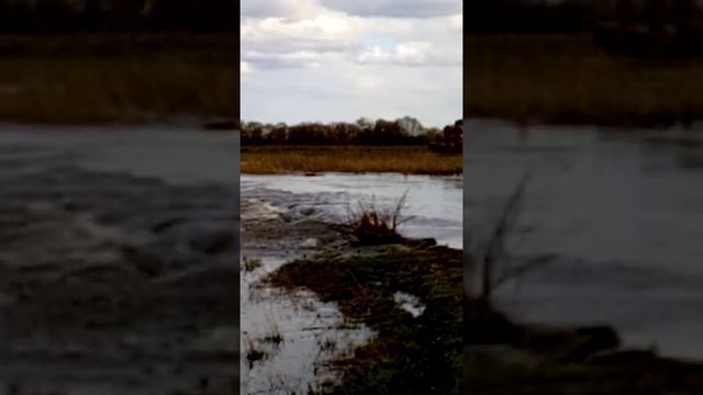 На велосипеде по озеру. смотреть онлайн