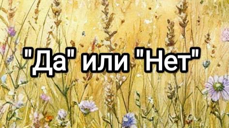 Да или нет (онлайн гадание)
