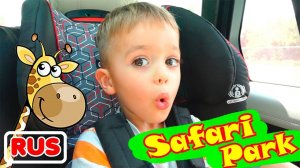 Влад и Ники. Семейная поездка Влада и Ники в сафари парк! Увлекательное видео для детей.