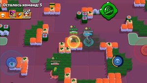 апнул титул самурай!