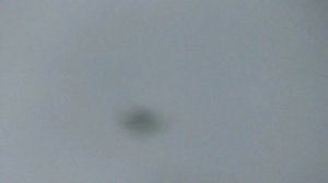 Курские 13.06.2025.