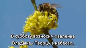 Суббота святая - ты радость! -- Христианская песня