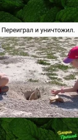 Переиграл