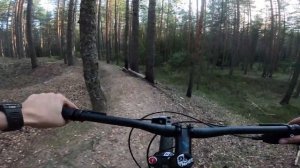 Покатушка на велосипеде по лесу с GoPro / Stark Tactic 29.5 HD