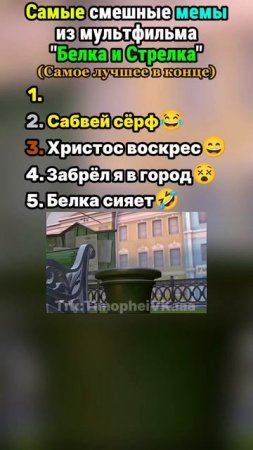 Белка и Стрелка мемы Топ 5 смешных моментов. @Тимофеевка #енотки #фиксики