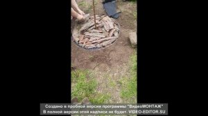 Мульчирование