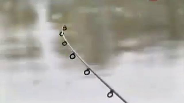 Фидерная рыбалка на течении смотреть онлайн