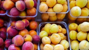 Экономист спрогнозировал резкое снижение цен на сезонные фрукты