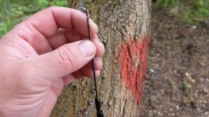 ВУДКА MIFINE MAGICIAN SPR TX BOLO ТЕСТ 80 150Г