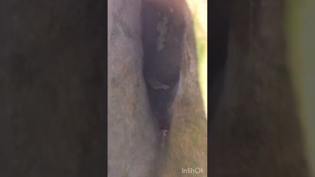 Геленджик п.Возрождение безымянный водопад в Темной щ смотреть онлайн