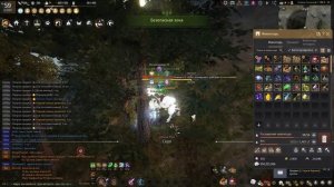 Сок Плосковеточника Cтрана Утра круг /Thuja Sap Land of the Morning