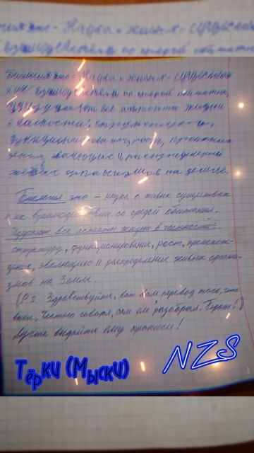 NZS  - Тёрки | Мыски (Demo) смотреть онлайн