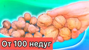 Чистка сосудов народными средствами – здоровье как в 17 лет! Как снизить давление, убрать тромбы!