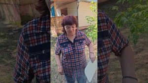 Самовар на сосновых шишках 👍🙂