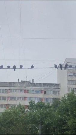 Почти собрание перед работой