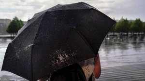 Синоптики спрогнозировали пасмурную погоду на выходных в Москве