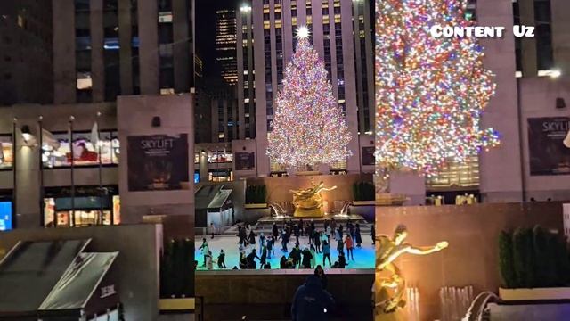 Один Дома ЁЛКА, Uyda Yolgiz Archasi смотреть онлайн