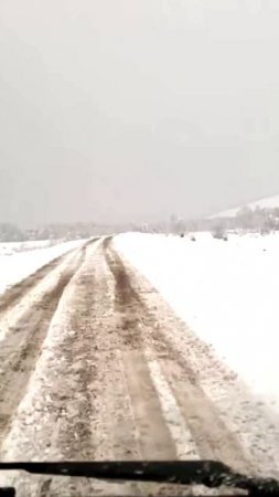 После лесных пожаров в Забайкалье неожиданно выпал снег
