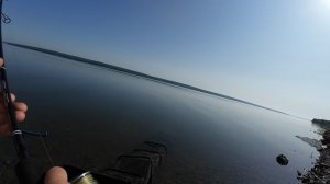 РЫБАЛКА, которая превратилась в СКАЗКУ! Дикий гость на водохранилище.