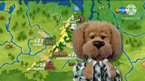 ПОГОДА ТВ С НОВЫЙ ТВ С ВЕСЕННИЙ 05.04.2025 ЗАСТАВКА С ФИЛЯЙ