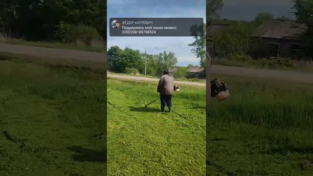 Косим траву триммером смотреть онлайн