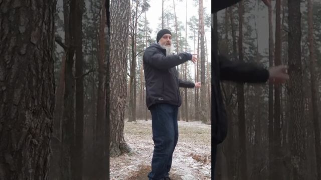 Длинные формы Тайцзи ! #ДаоЗимы Доброго, Лесного 🌲 Утр - смотреть видео ...