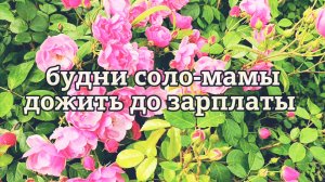 ОДНА С ДВУМЯ ДЕТЬМИ КАК ДОЖИТЬ ДО ЗАРПЛАТЫ