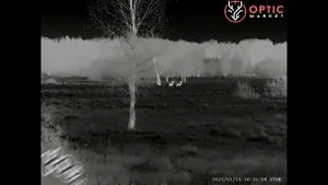 😱iRay Finder больше не топ?