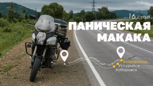Паническая макака. Шестнадцатая серия записок о поездке из Санкт-Петербурга во Владивосток.
