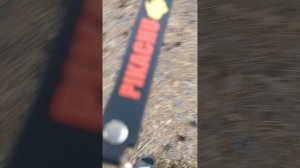 Видео из леса 1