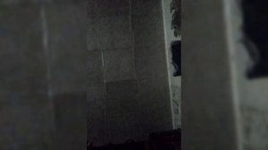5 подписчиков