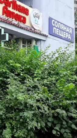 Утро Алматы. 13.06.2025.